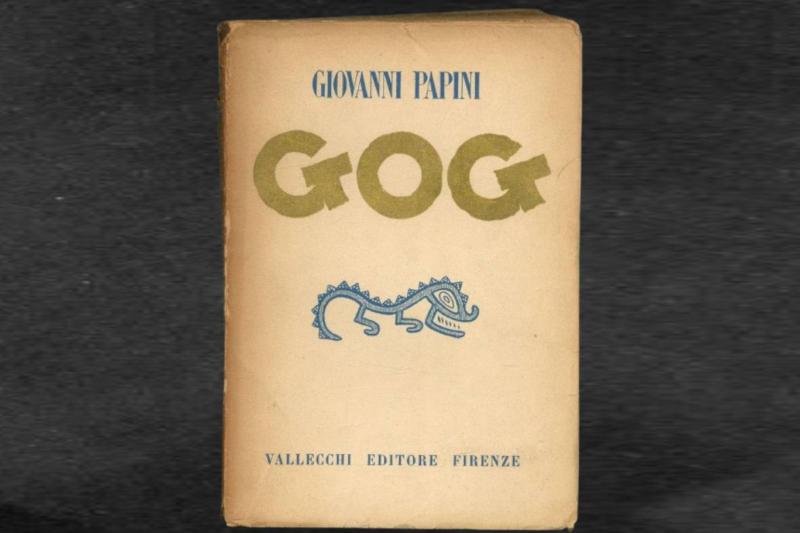 Cahil gezgin
