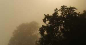 Picsum ID: 722